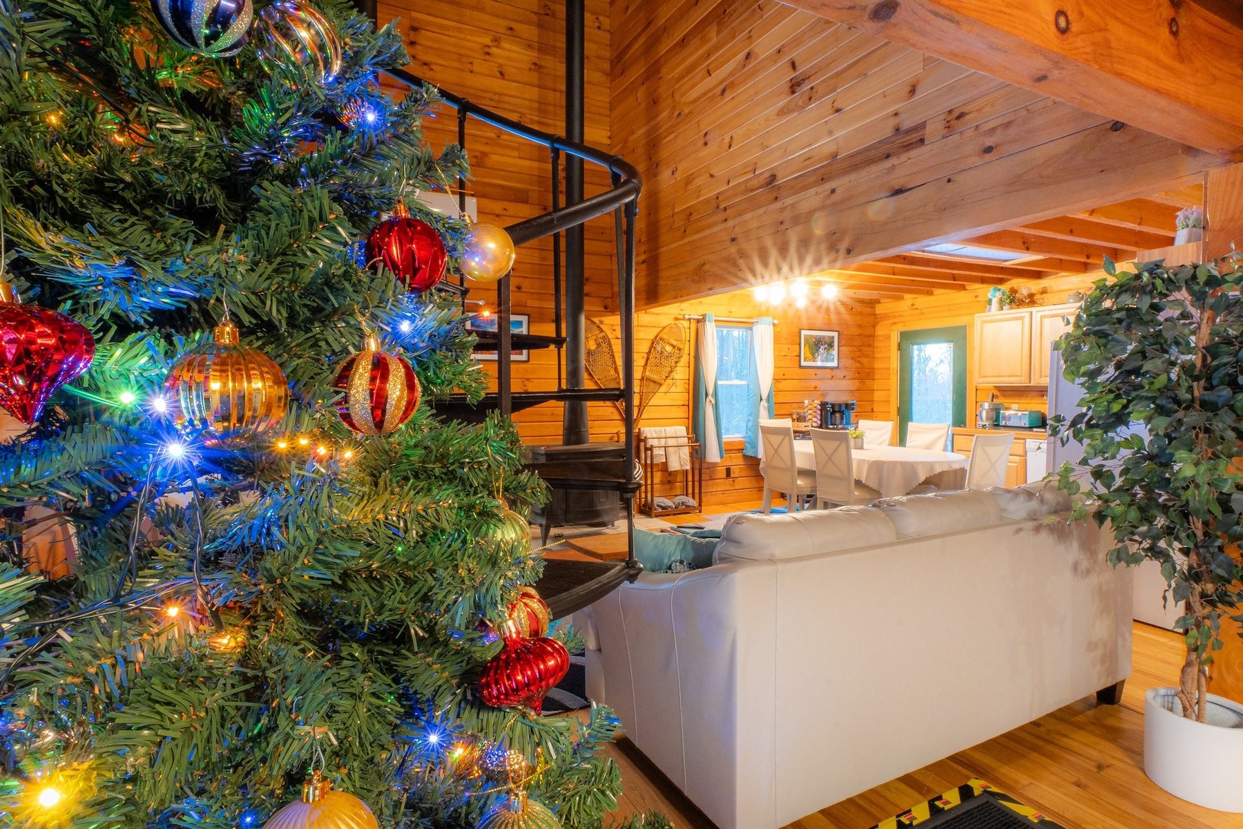 Driftland Cabin design work