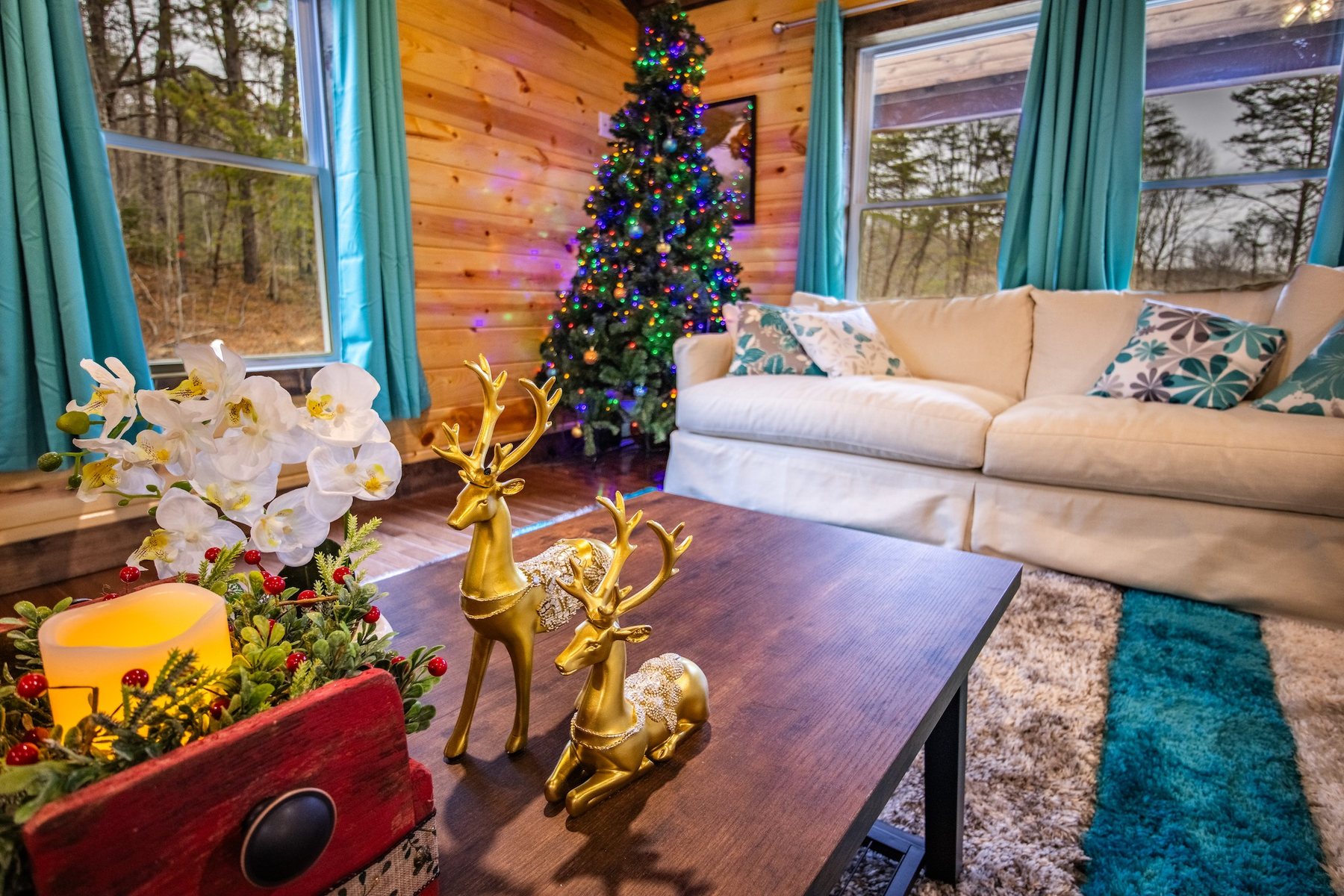 Forest Gap Cabin design work